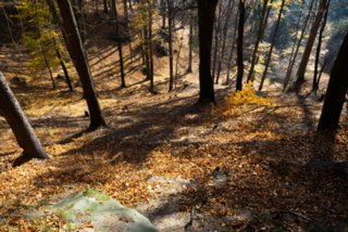 20151103_jubilaeumssteig_083