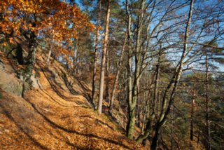 20151103_jubilaeumssteig_092