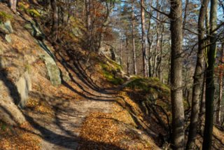20151103_jubilaeumssteig_094