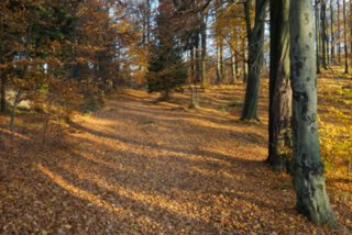 20151103_jubilaeumssteig_136