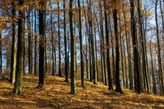 20151103_jubilaeumssteig_137