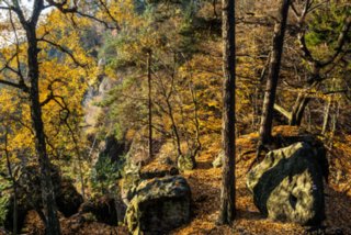 20151103_jubilaeumssteig_142