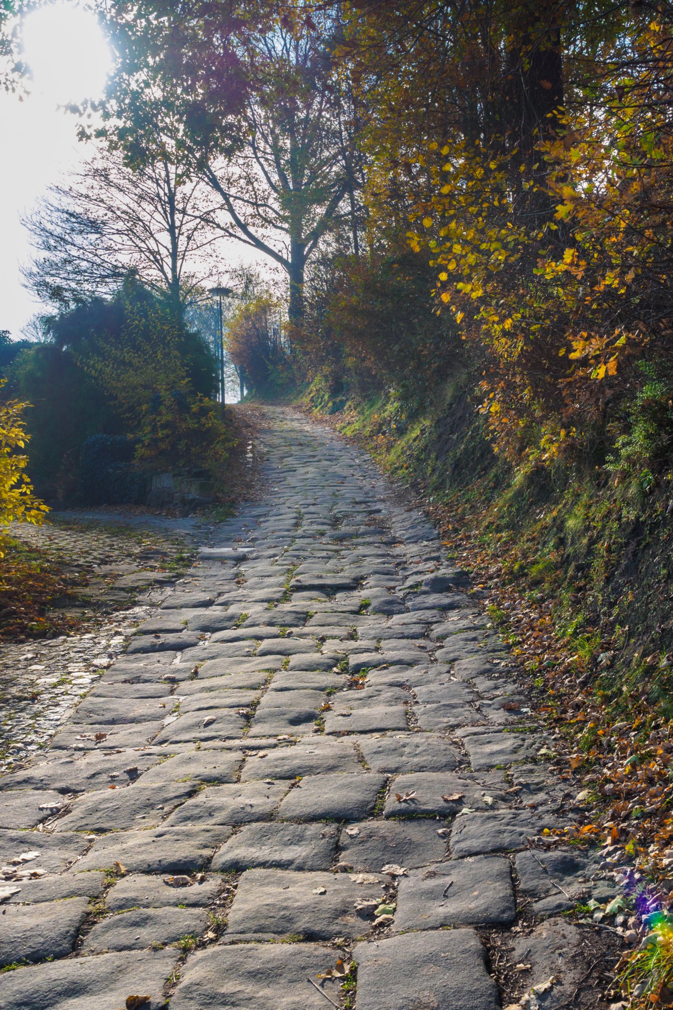 Aufstieg nach Pfaffendorf Aufstieg nach Pfaffendorf. Wanderung von Königstein auf den Pfaffenstein und zurück.