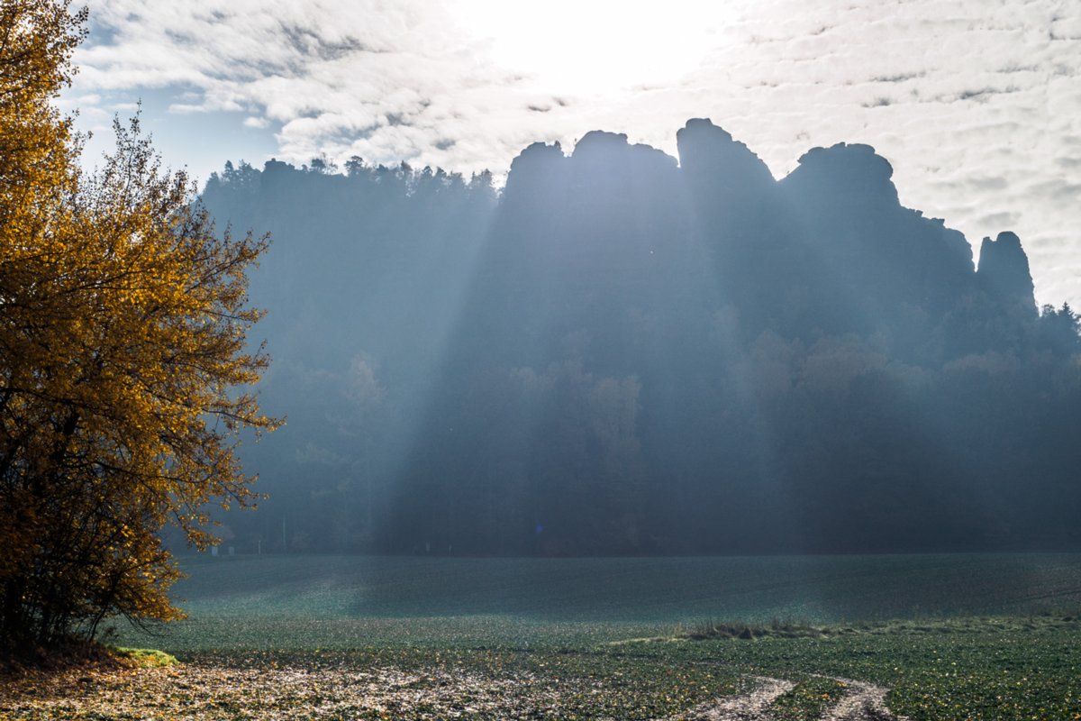 Pfaffenstein Wanderung von Königstein auf den Pfaffenstein und zurück.