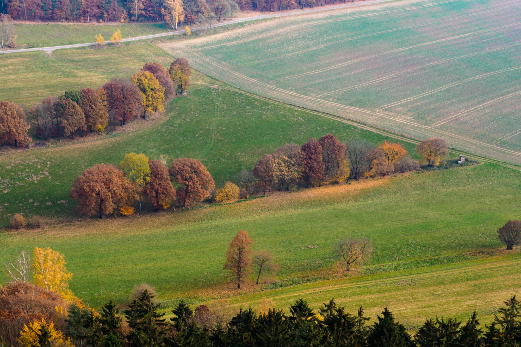 Pfaffensteinaussicht Wanderung von Königstein auf den Pfaffenstein und zurück.