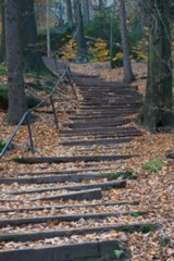 20151104_pfaffenstein_029