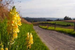 20140805_panoramaweg_hihedo_016