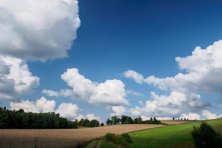 20140806_gross-stein_001