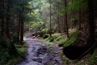 20140807_domerker-schrammsteine_007