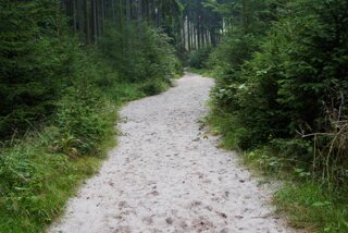 20140807_domerker-schrammsteine_012