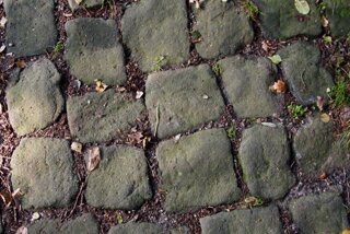 20140808_baerenstein-rauenstein_014