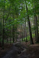 20140808_baerenstein-rauenstein_027