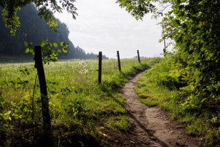 20140808_baerenstein-rauenstein_033