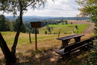 20140815_weifberg-weissbachtal_043