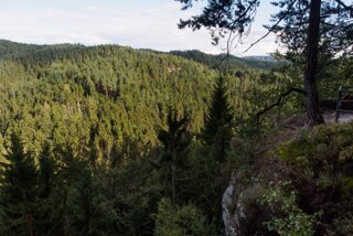 20140816_taubenstein_026