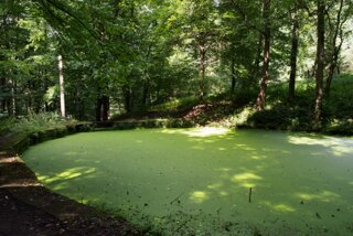 20140819_quaderberg_245