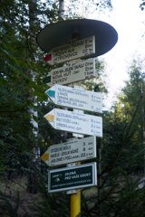 20140820_tollenstein-tannenberg_131