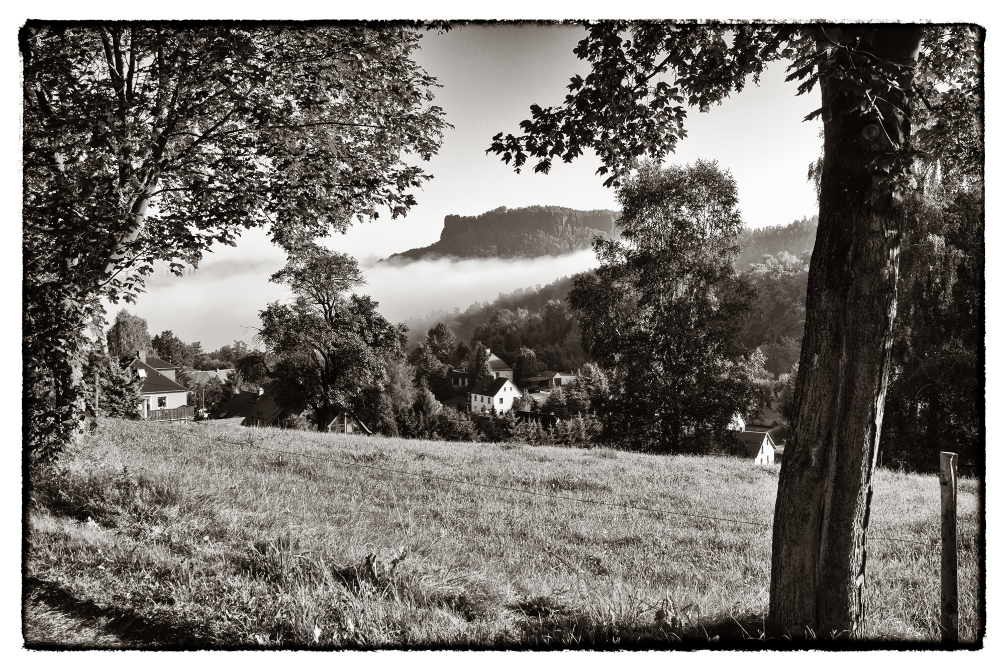 Sächsische Schweiz 2009 Wanderung von Königstein zum Pfaffenstein und wieder zurück nach Königstein. Blick zum Lilienstein. Der Lilienstein ist einer der markantesten Berge in der Sächsischen Schweiz in Sachsen. Der Lilienstein ist der einzige rechtselbische Tafelberg und stellt das Symbol des Nationalparks Sächsische Schweiz dar. Sein Name hat nichts mit Blumen zu tun, er wurde vermutlich von St. Gilgen bzw. St. Ilgen abgeleitet (frühere Namen waren „Ylgenstein“ und „Illgenstein“). Dieser Namensstamm ist auf den Heiligen St. Aegidius zurückzuführen. Der Lilienstein befindet sich 15 Kilometer östlich von Pirna und 5 Kilometer westlich von Bad Schandau. Quelle: http://de.wikipedia.org/wiki/Lilienstein