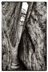 20090823_112928-bearb-bw