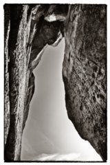 20090824_090018-bearb-bw