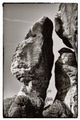 20090824_090607-bearb-bw