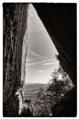 20090824_092304-bearb-bw