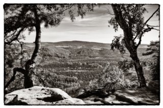 20090824_092929-bearb-bw