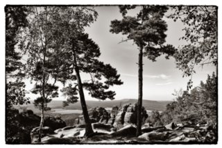 20090824_095135-bearb-2-bw