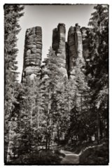 20090824_150239-bearb-bw