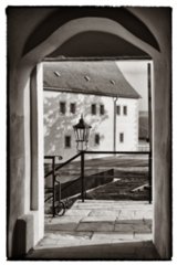 20090827_182154-bearb-bw