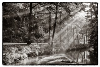 20090828_075827-bearb-2-bearb-bw