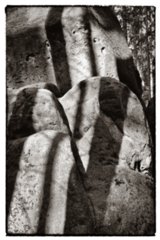 20090830_082620-bearb-bw