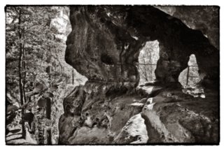 20090830_101451-bearb-bw