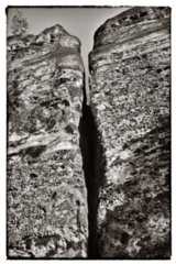 20090831_090105-bearb-bw