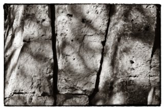 20090831_092547-bearb-bw