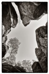 20090901_102303-bearb-bw-1