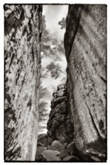 20090902_163236-Edit-bearb-bw