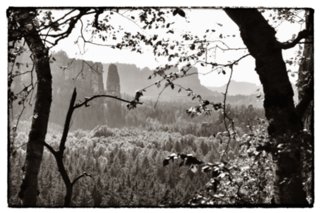 20090902_163457-bearb-bw