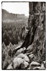 20090902_164249-Edit-bearb-bw