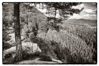 20090902_173955-Edit-3-bearb-bw