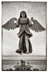 20090904_112824-bearb-bw