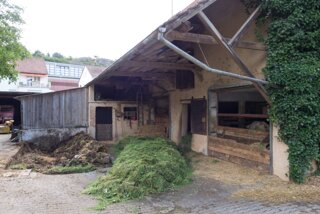 20130730_blaustein_001