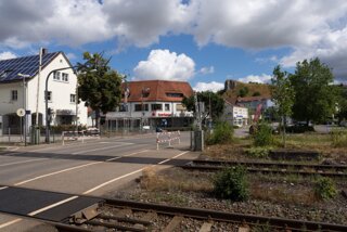 20130730_blaustein_004