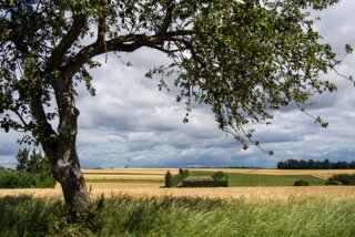 20130731_rusenschloss_022