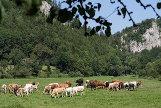 20130805_donautal_051