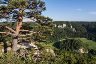 20130805_donautal_161