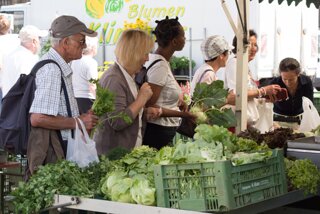20130807_ulm_wochenmarkt_004