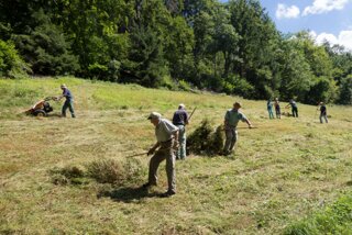 20130810_geislingen_075