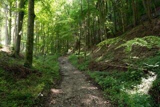 20130810_geislingen_078