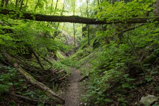 20130810_geislingen_085